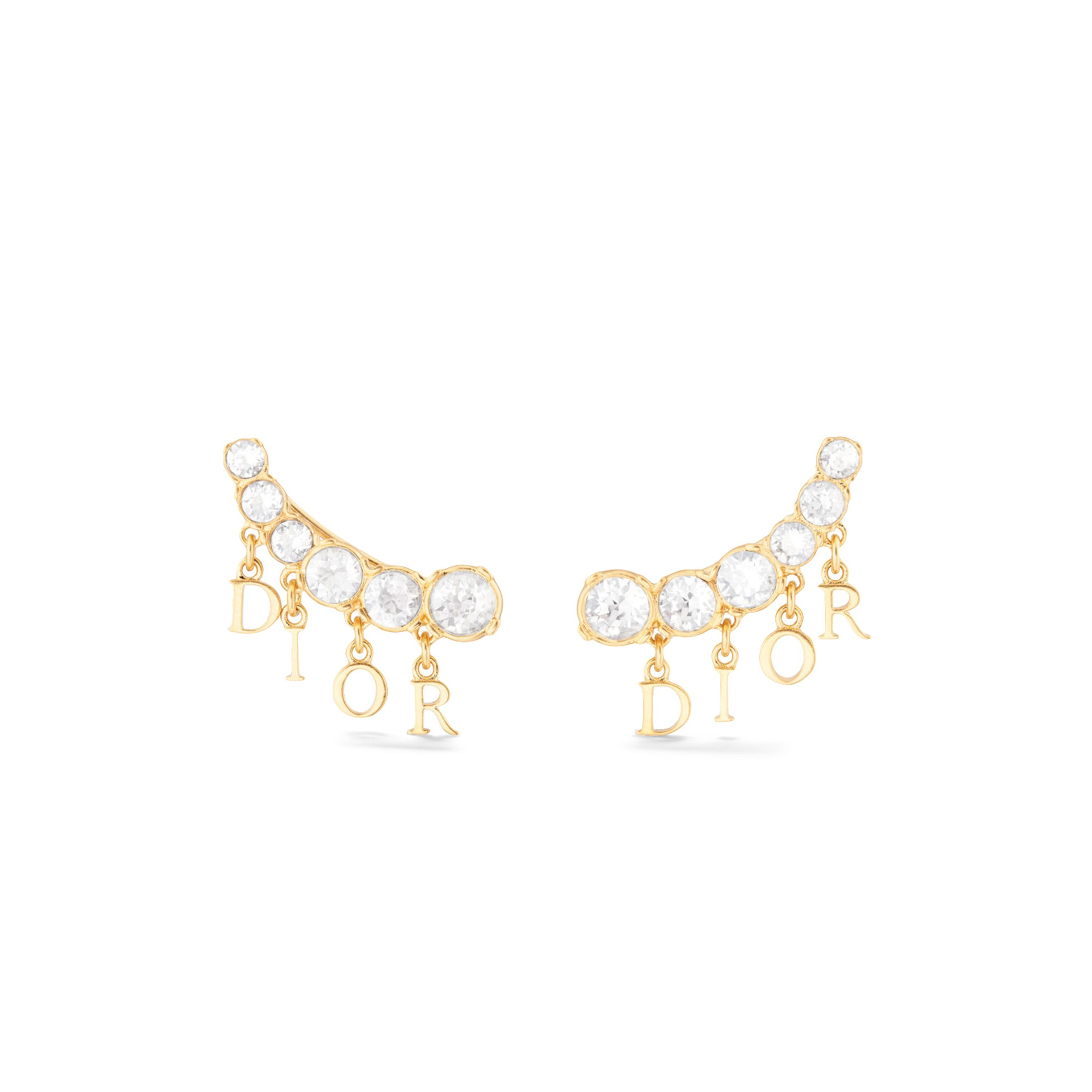 DIOR DIO(R)EVOLUTION EARRINGS E3184WOMCY